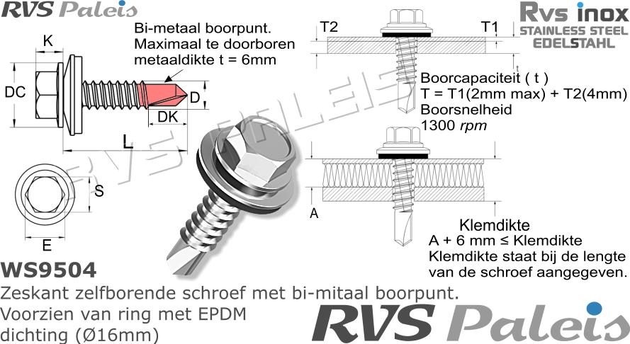 RVS Plaatschroef 