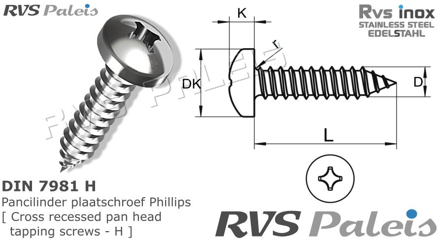 RVS Plaatschroef 