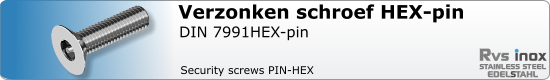 RVS din 7991 pin hex