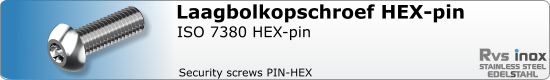 RVS  Veiligheidsschroeven Iso 7380 Pin Hex