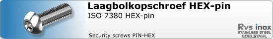 RVS iso 7380 pin hex