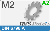 RVS  Veerring Din 6798a M2