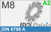 RVS  Veerring Din 6798a M8