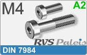 RVS Schroef Binnenzeskant Din 7984 M4