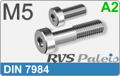 RVS Schroef Binnenzeskant Din 7984 M5