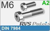 RVS Schroef Binnenzeskant Din 7984 M6