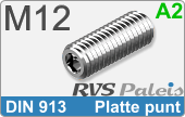 RVS Schroef Binnenzeskant Din 913 M12