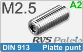RVS Schroef Binnenzeskant Din 913 M2,5