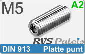 RVS Schroef Binnenzeskant Din 913 M5