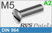 RVS Schroef Zaaggleuf Din 964 M5