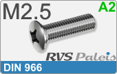 RVS Schroef Kruisgleuf Din 966 M2,5