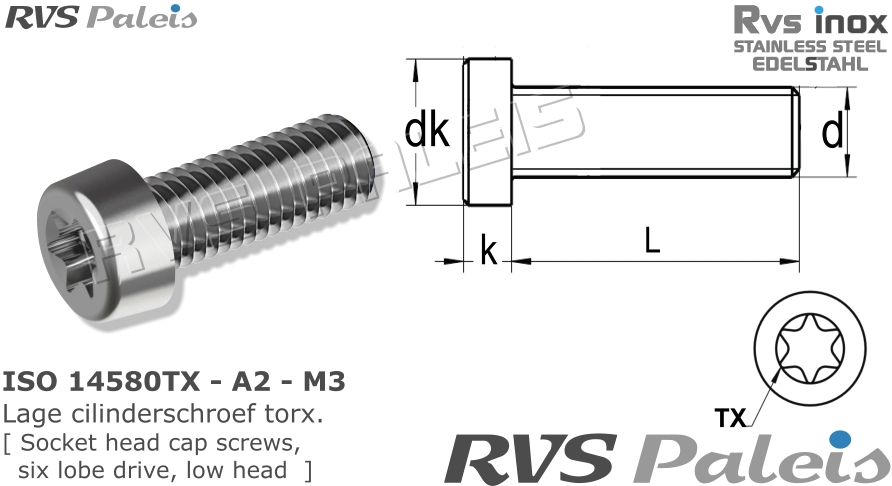 RVS Schroef Iso 14580tx - A2 - M3