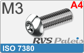 RVS Schroef Binnenzeskant Iso 7380 M3