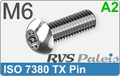 RVS  Veiligheidsschroeven Iso 7380 Pin Tx M6