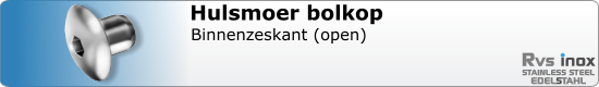 RVS  Hulsmoeren Bolkop Open